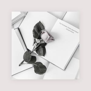 大雷擦大狙软件免费视频大全
